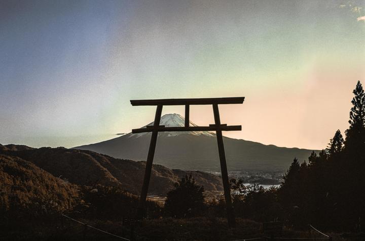 Fuji Autumn (Contax G1 35mm, Fuji Velvia 50)