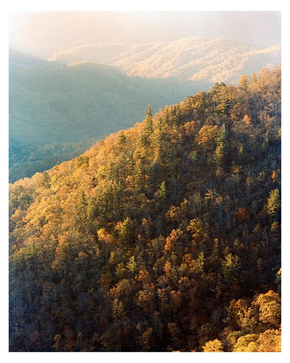 Blue Ridge Parkway [Mamiya RZ67, 250mm f/4.5, Portra 400]