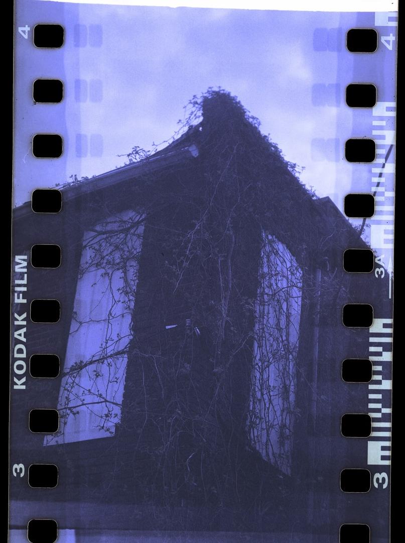 My first attempt - loaded into an old 610 point and shoot box camera