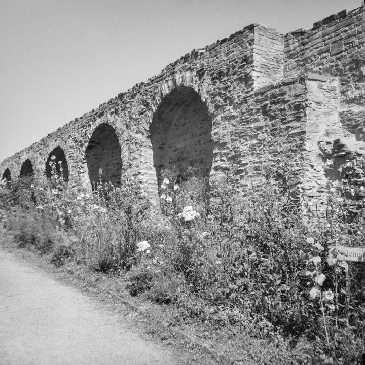A long stone wall with arched openings is overgrown with wildflowers and grass.