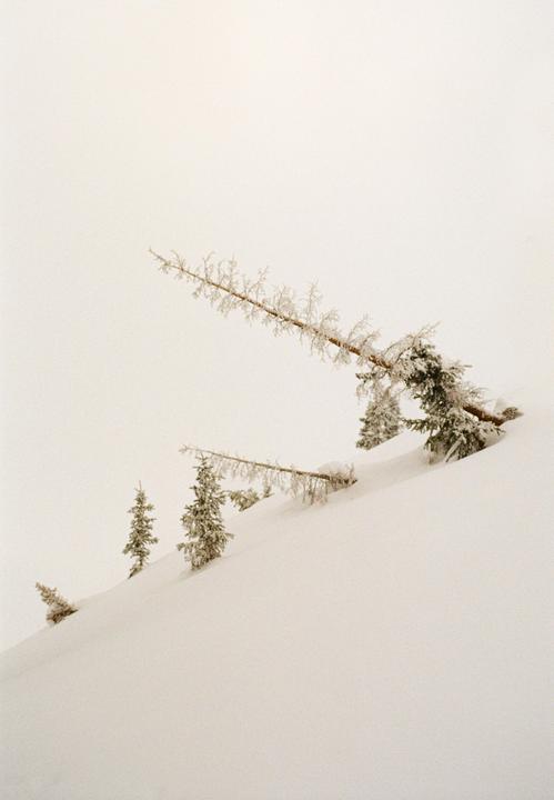 White out day in the backcountry