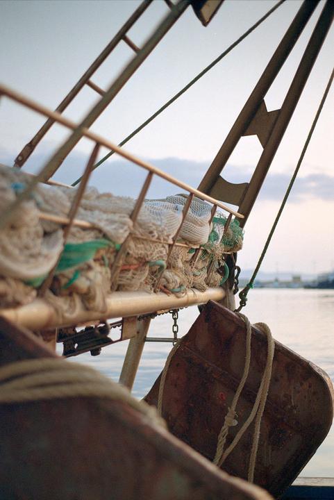 Nets & ropes | Pentax MX, 50mm 1.7, Fujicolor c200