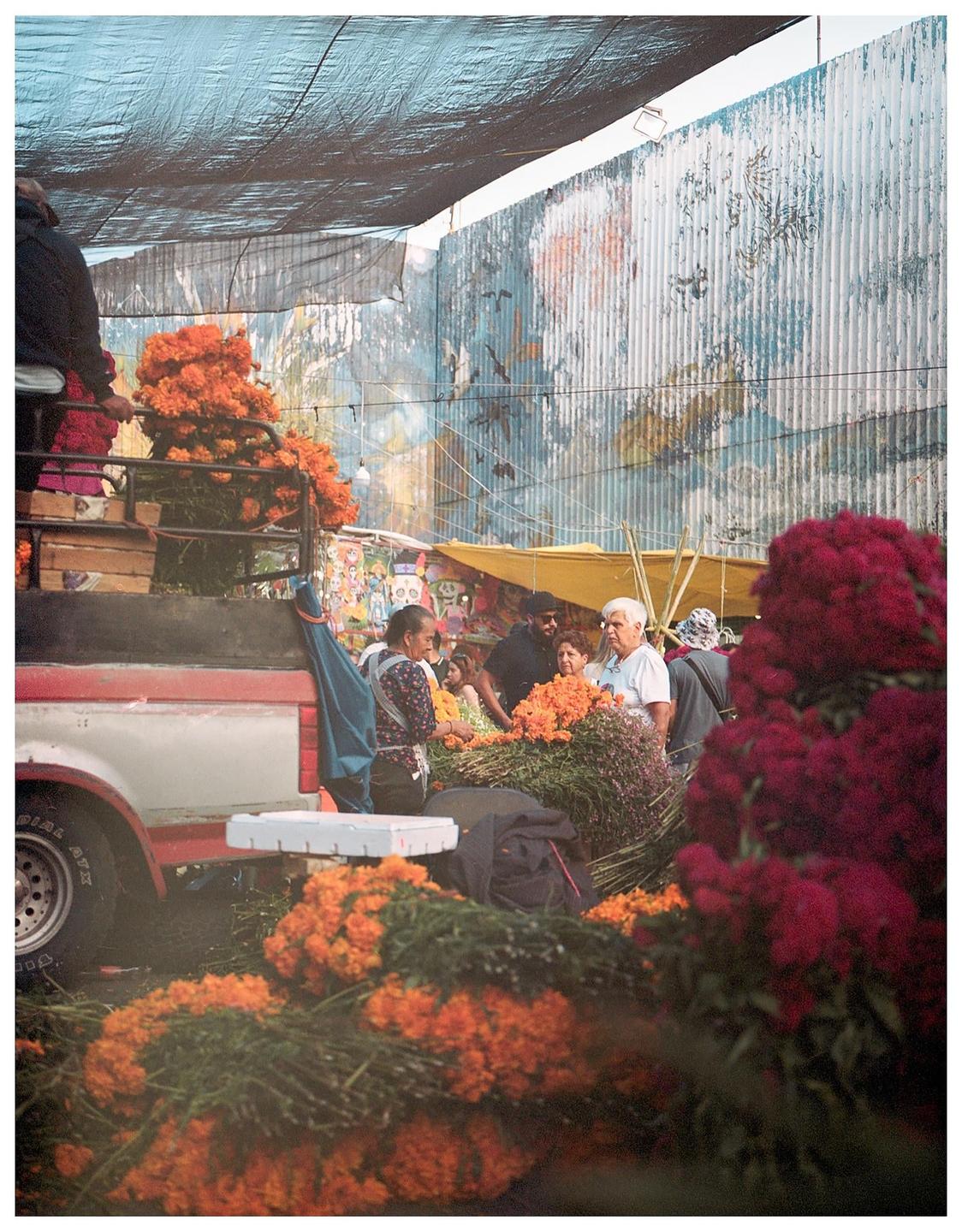 image 36091 by beardhead