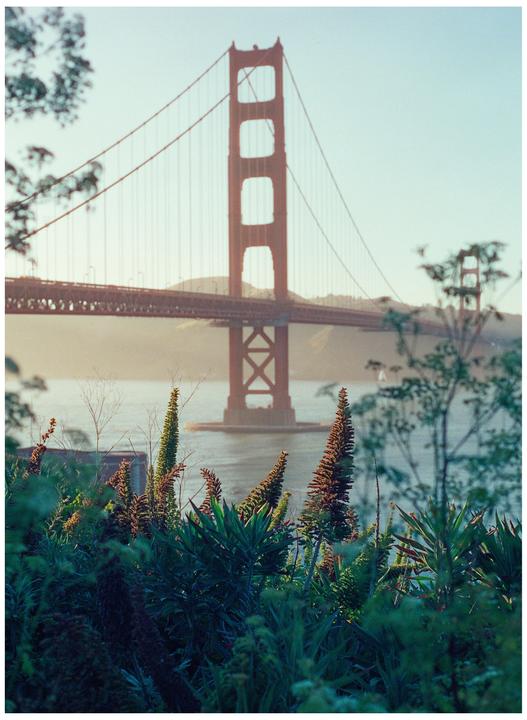 Some shots in and around the Golden Gate Bridge, San Francisco [Mamiya 645 1000s, CineStill 800T, 80mm f/2.8]