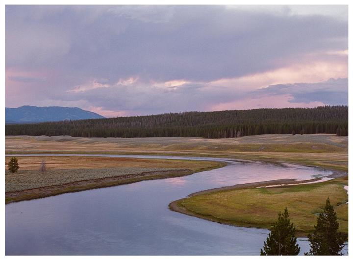 On the banks of Yellowstone River, Wyoming [Mamiya 645, Kodak Portra 800, 80mm f/2.8]