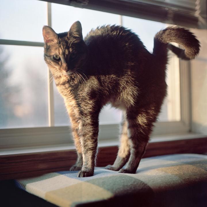 Biiig Stretch (Mamiya C220, 80mm f2.8, Portra 160)