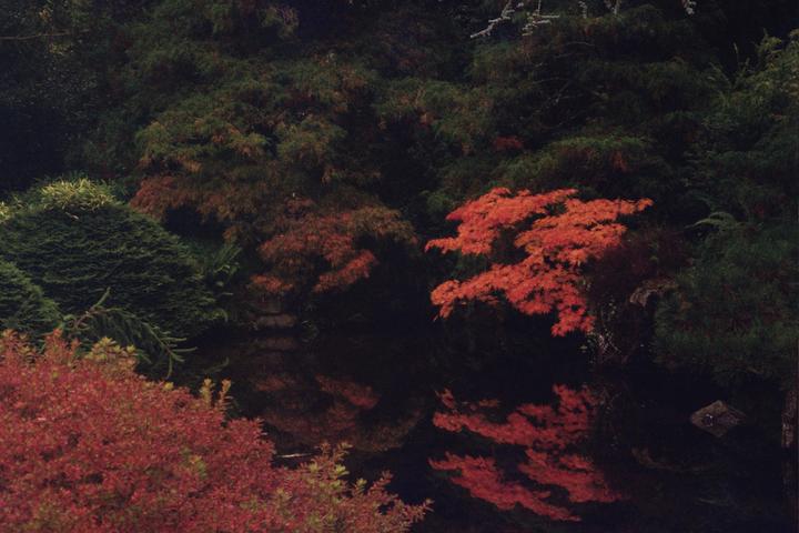 Kubota Garden [Espio 105G, Fiji 400]