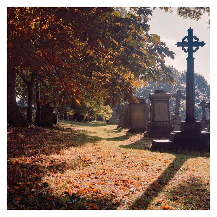 Loving autumn with Portra 160 and my Mamiya 6 folder. Would welcome feedback.