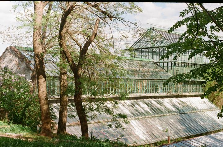 some shots from 2024&2025 [Zenit 122, Helios 58mm f/2.0, Kodak Colorplus 200]