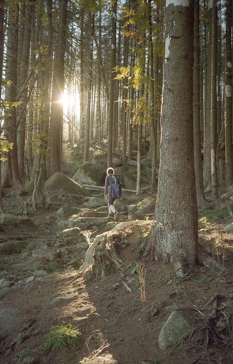 Schierke, Harz, Germany [Olympus 35RC, Kodak Portra 800]