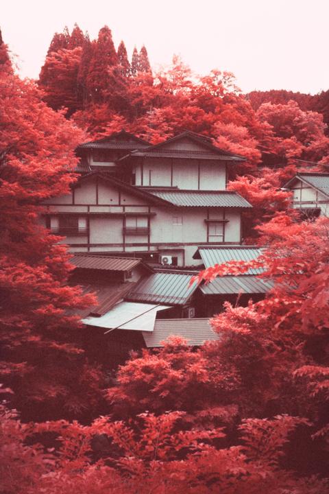 Kurokawa [Contax 139q, Zeiss Distagon 35mm f/2.8, Kodak EIR]