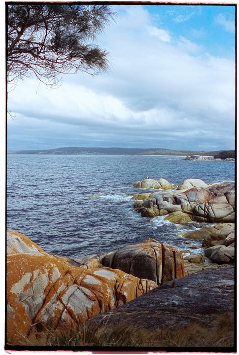 Bay of Fires, Australia. [Olympus OM-1, Zuiko 35mm f2.8, Cinestill 400D]