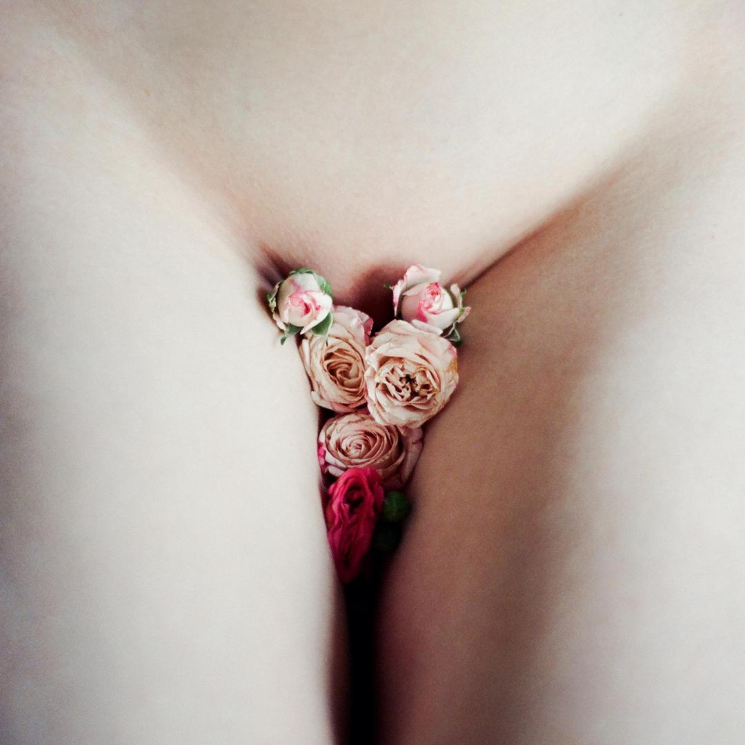 image 5511 by elcansky