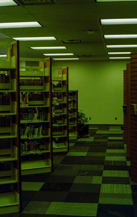 What would make this photo green? Self scan W negative lab. (Canon P, 50mm, colorplus 200)