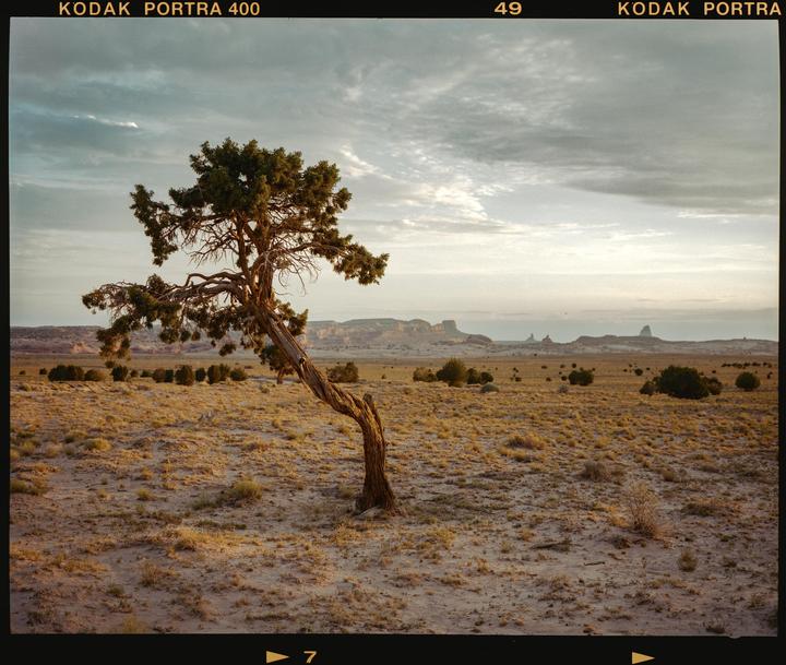 Morning Light · Mamiya 7ii 80MM · Kodak Portra 400