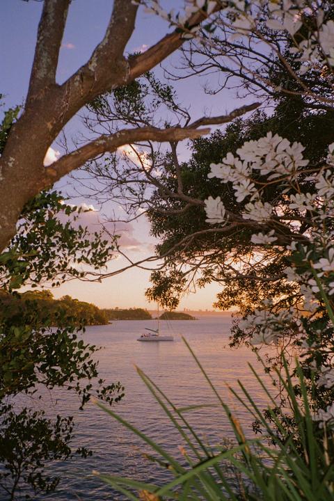 Sydney sunset shot on Olympus mju ii, Kodak gold 200
