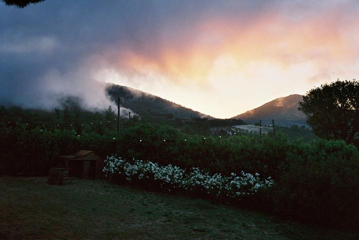 My friend's wedding in the Italian countryside (Leica m2, ultramax, voigtlander 35 1.4 mark 1)