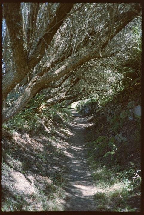 Is this what Portra 160 is supposed to look like? Since I started scanning and editing on my own I was wondering if that's the look you'd expect from a roll of Portra 160 shot on Contax T3.
