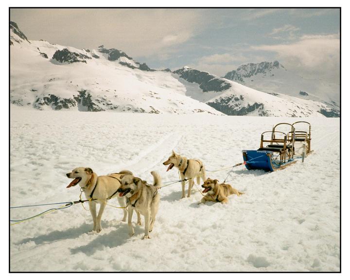Mushing my pack || Contax T2 on Kodak Gold 200