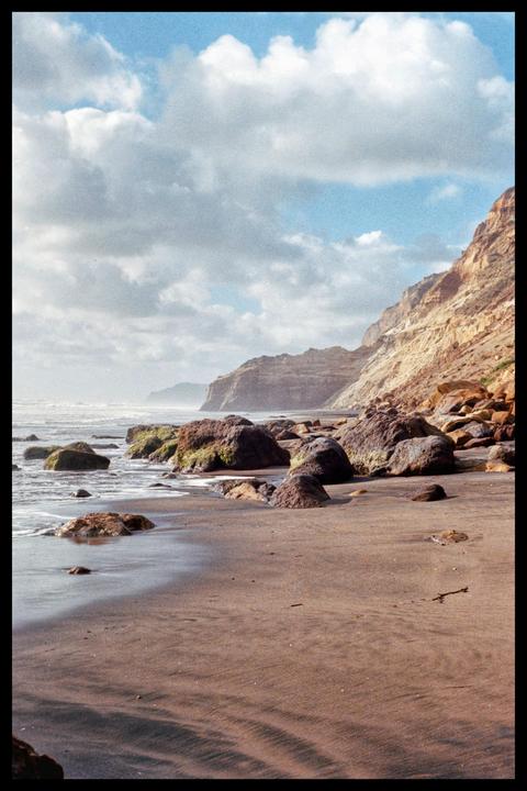 Awhitu [Nikon N80 / 50mm / Pro Image 100]