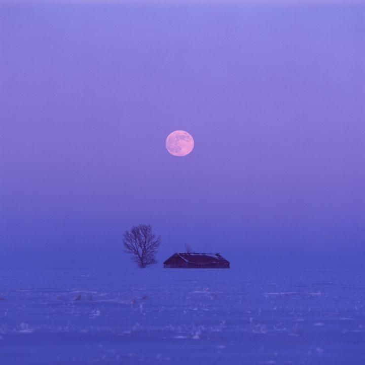 2023 [Hasselblad 500CM/Pentax K1000/Canon Elan ii/Nikon FE/Intrepid 4x5 - Films and Lenses in captions]