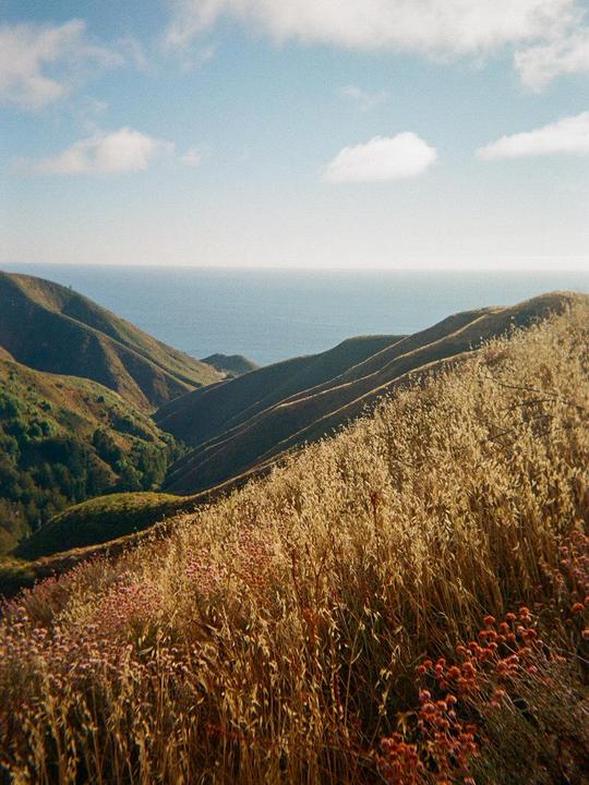 sometimes a disposable and good light is all you need [Fujifilm Disposable]