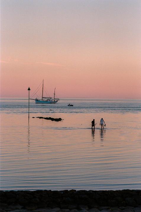 Mudflat walkers [Nikon F3, 105mm F2.8, Kodak Gold]