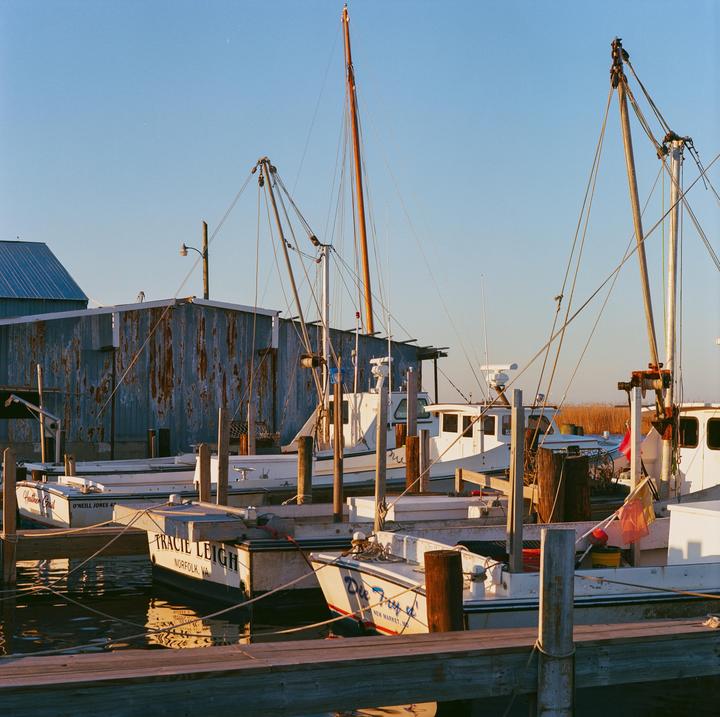 Learning to shoot with 6x6, Mamiya C330, 105mm 3.5, a mix of Gold and Ektar