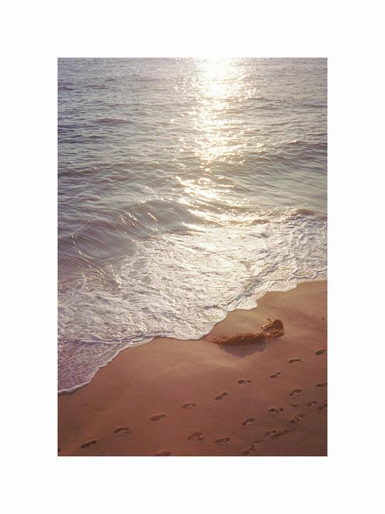 Golden Steps [Dial 35, 0.5frame, Ektar100]