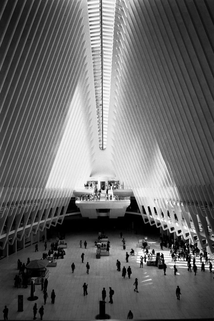 image 35567 by sandofsky
