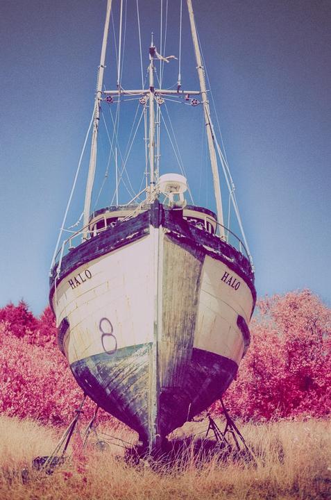 My one and only roll of Aerochrome // Nikon FM2 / on the road in the PNW