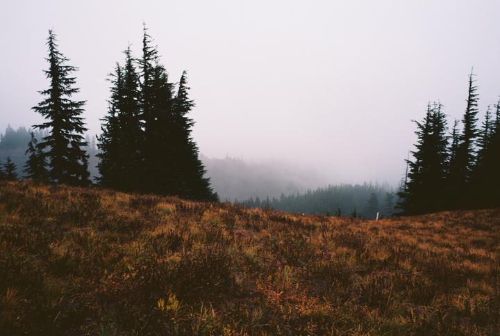 Spooky Season [Fuji GSW690iii, Kodak Ektar 100]