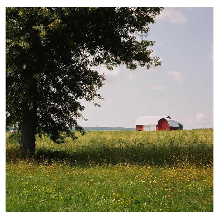 A Country Scene in Himrod, New York: Mamiya C330-Portra 400