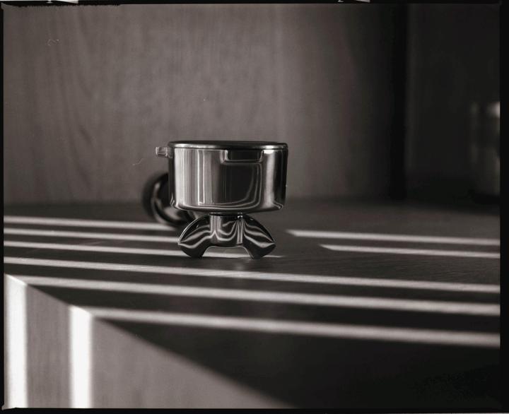 Mamiya RZ 67 sekor 110 f2 | HP5