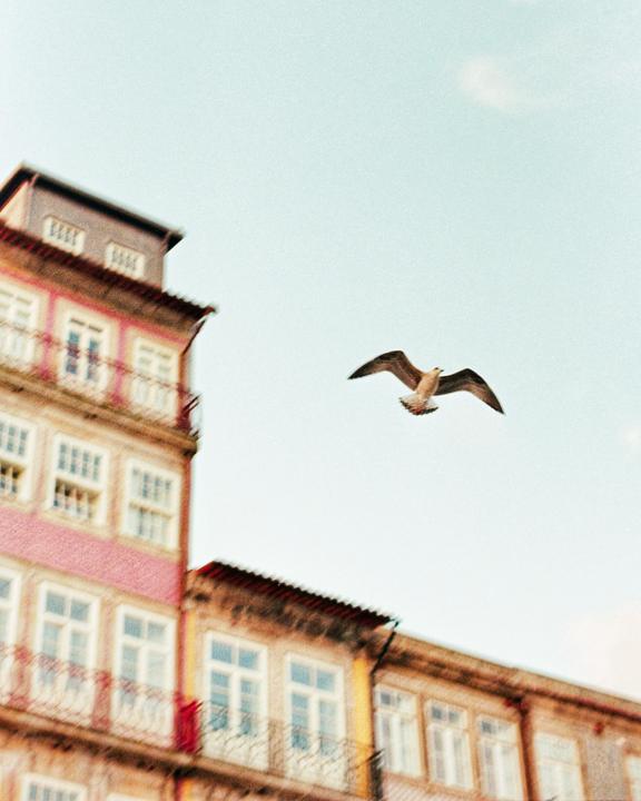 Portugal [Canon EF, 50mm 1.4, Gold 200]