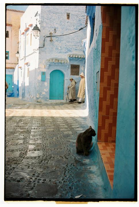 Chefchaouen/ M6 / 35 Canon LTM / Portra 400