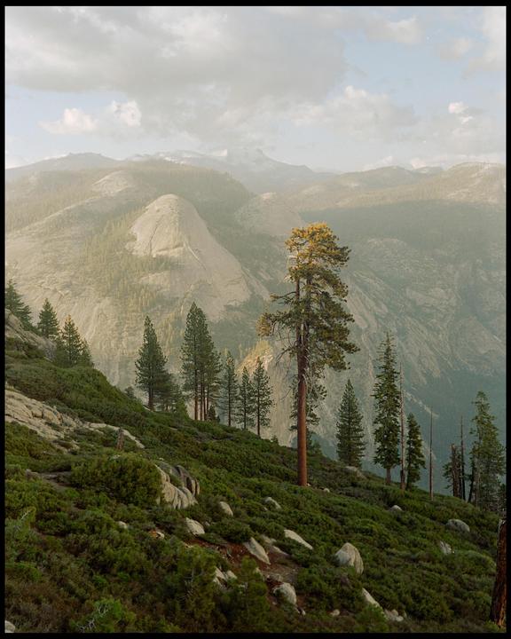 Glacier Point, 2024 [ Rollei 35 SE - Fuji Reala 100 exp. 2006]