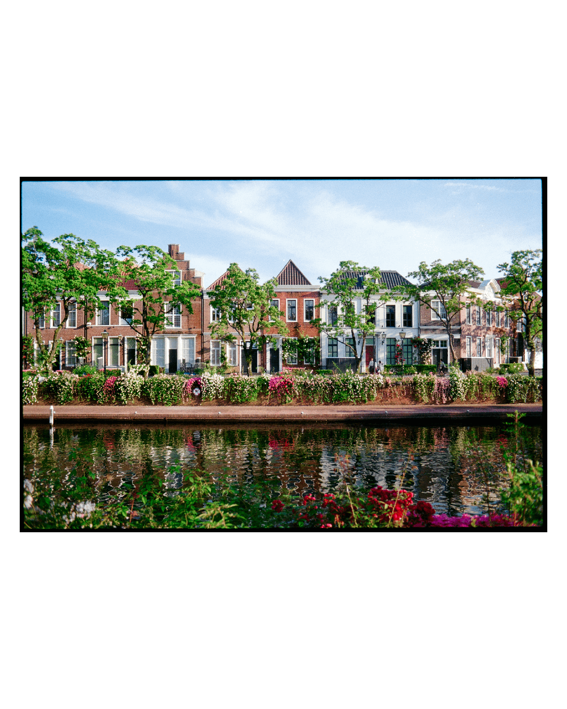 image 35814 by IFuckCarsForFun