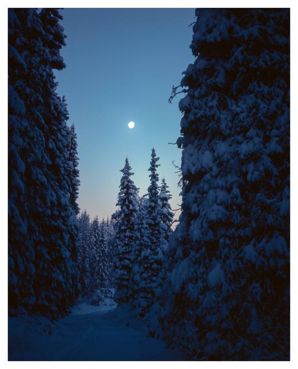 [Pentax 6x7 | Takumar 135 f/4 | Velvia 100]