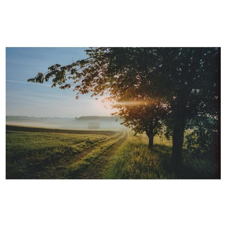 Summer Mornings | Leica MP + Elmarit 28 | Portra 400