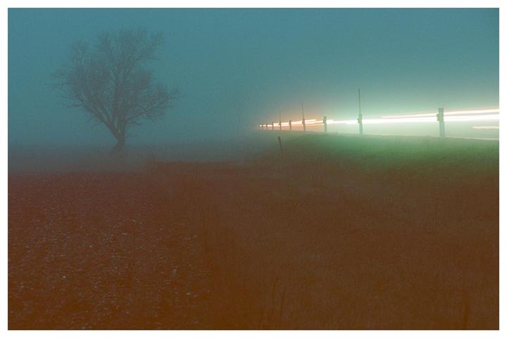 A Very Foggy Start Into The New Year [Nikon F100, Ektar 100]
