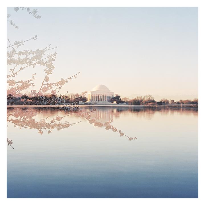 Accidental double exposure of cherry blossoms and Jefferson Memorial | Ektachrome | Hasselblad 500cm | 80mm f/2.8 CF