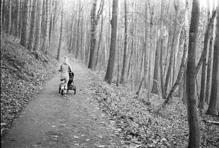 A woman pushes a stroller along a path through a forest.