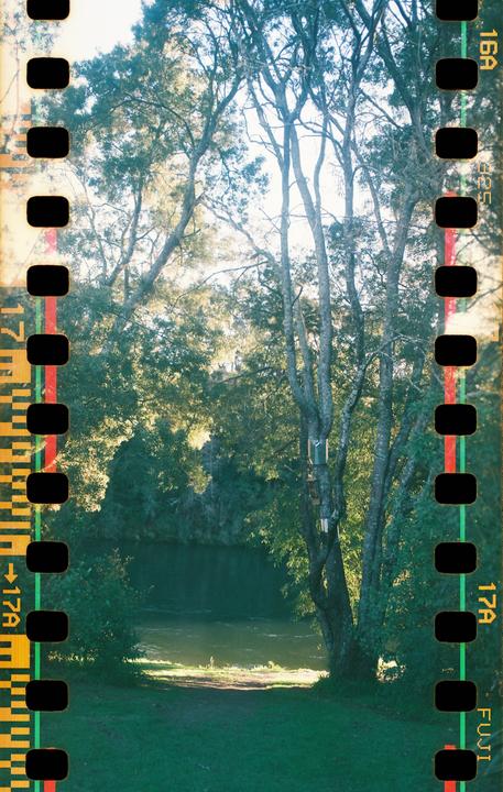 My first experiment with sprockets (Bronica SQ-A, Zenzanon 50, expired Fuji Superia 100 @ 50)