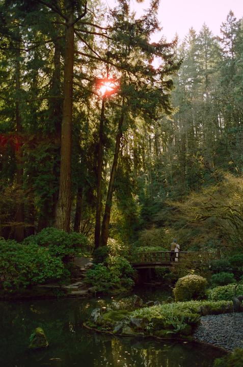 Portland Japanese Garden | Canon AE-1 | Canon FD 35mm f/2 | CineStill 50D