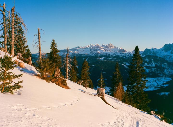 First Roll with my Fuji GS645W one year ago [Ekatr 100]
