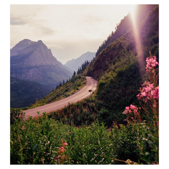 Going to the Sun (Hasselblad 501cm, 50mm cf & 80mm cb, Portra 160)