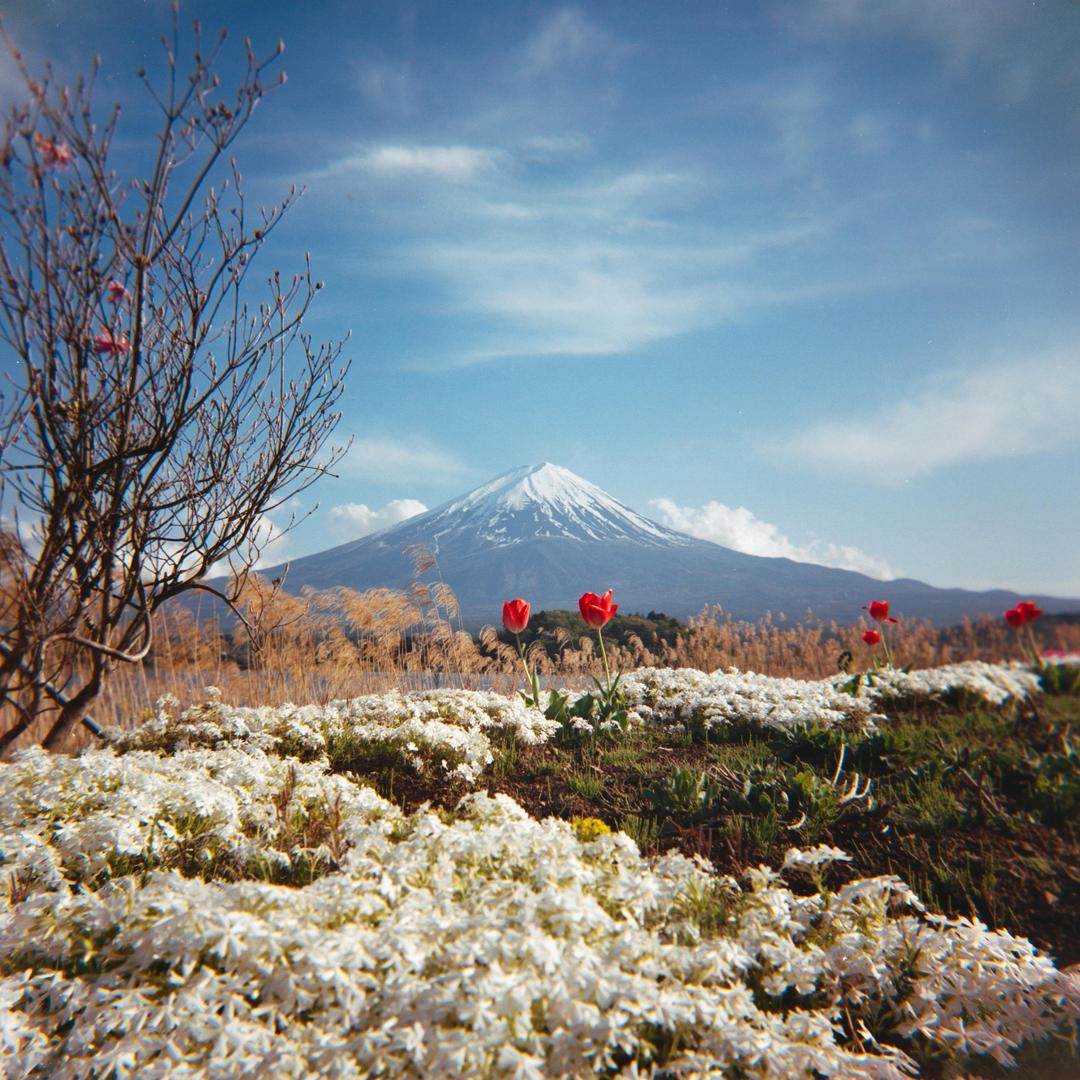 image 36085 by ZaBateleur