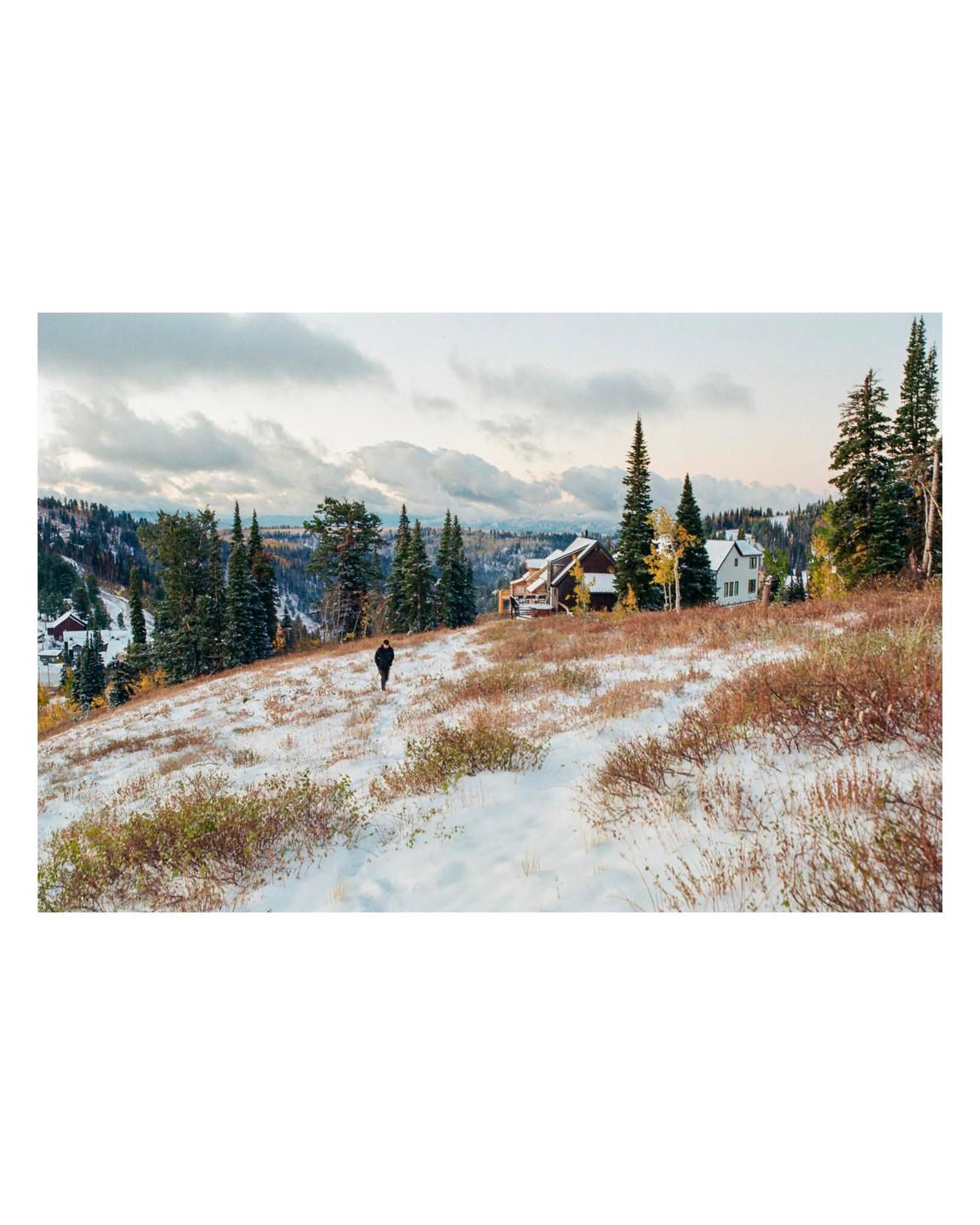 image 35984 by CJ5106