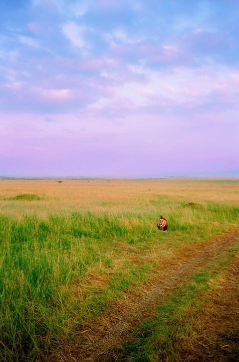 Sunrise to sunset in Masai Mara | Leica M6 | Kodak Portra 400